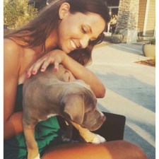 Puppies are an easy ticket to happiness